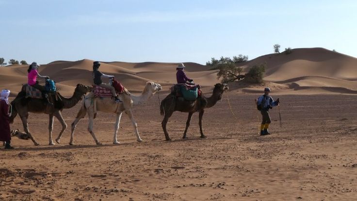 Morocco Sahara Trek
